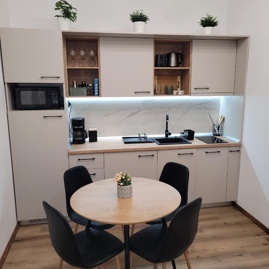 B8 - Spacious, Charming Apartment In Central シビウ エクステリア 写真