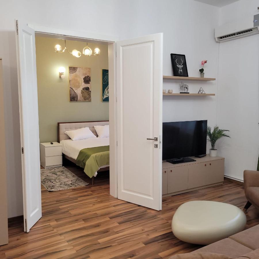 B8 - Spacious, Charming Apartment In Central シビウ エクステリア 写真