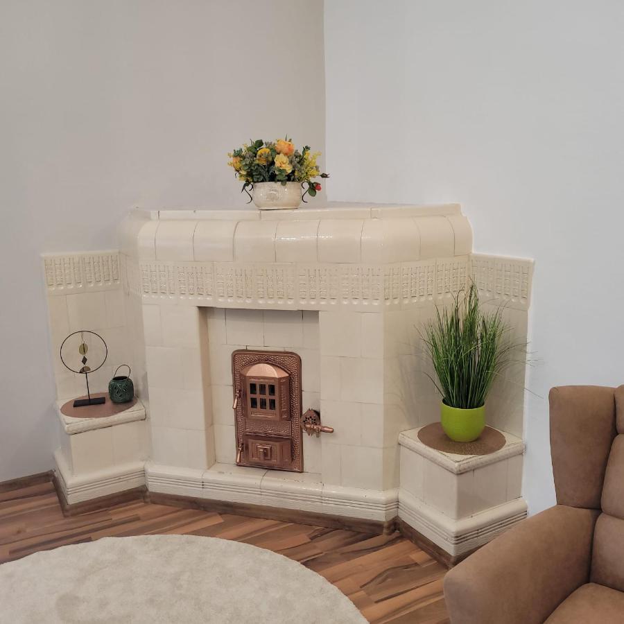 B8 - Spacious, Charming Apartment In Central シビウ エクステリア 写真