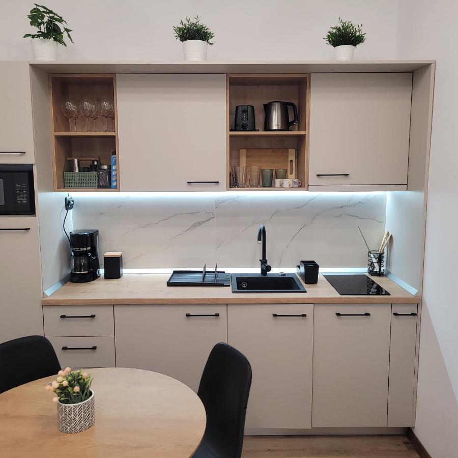 B8 - Spacious, Charming Apartment In Central シビウ エクステリア 写真